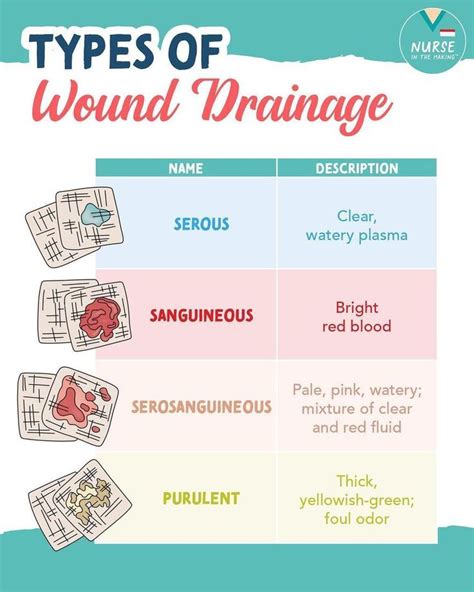 purulent drainage vs serous|Common Types of Wound Drainage and How to Take。